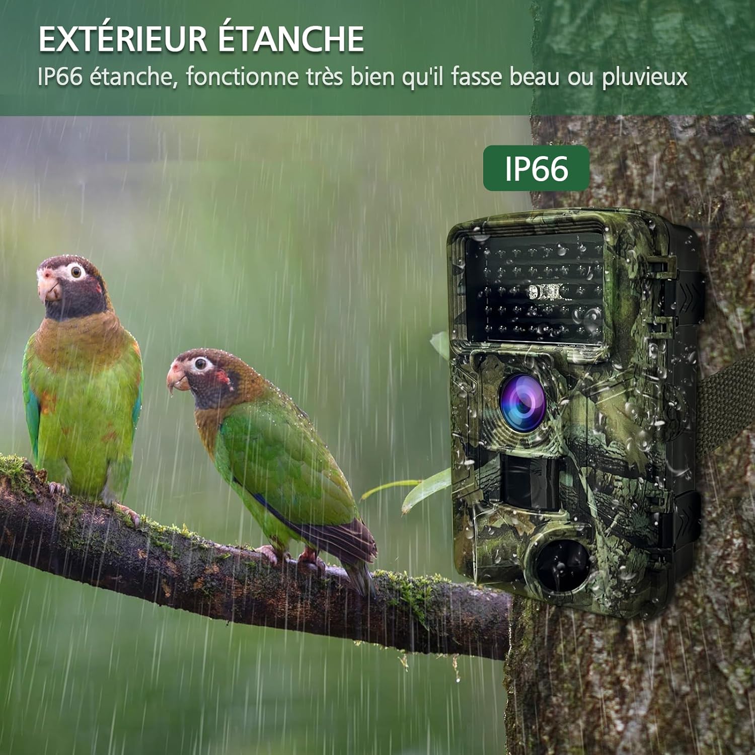 Caméra de surveillance Chasse – Image 6
