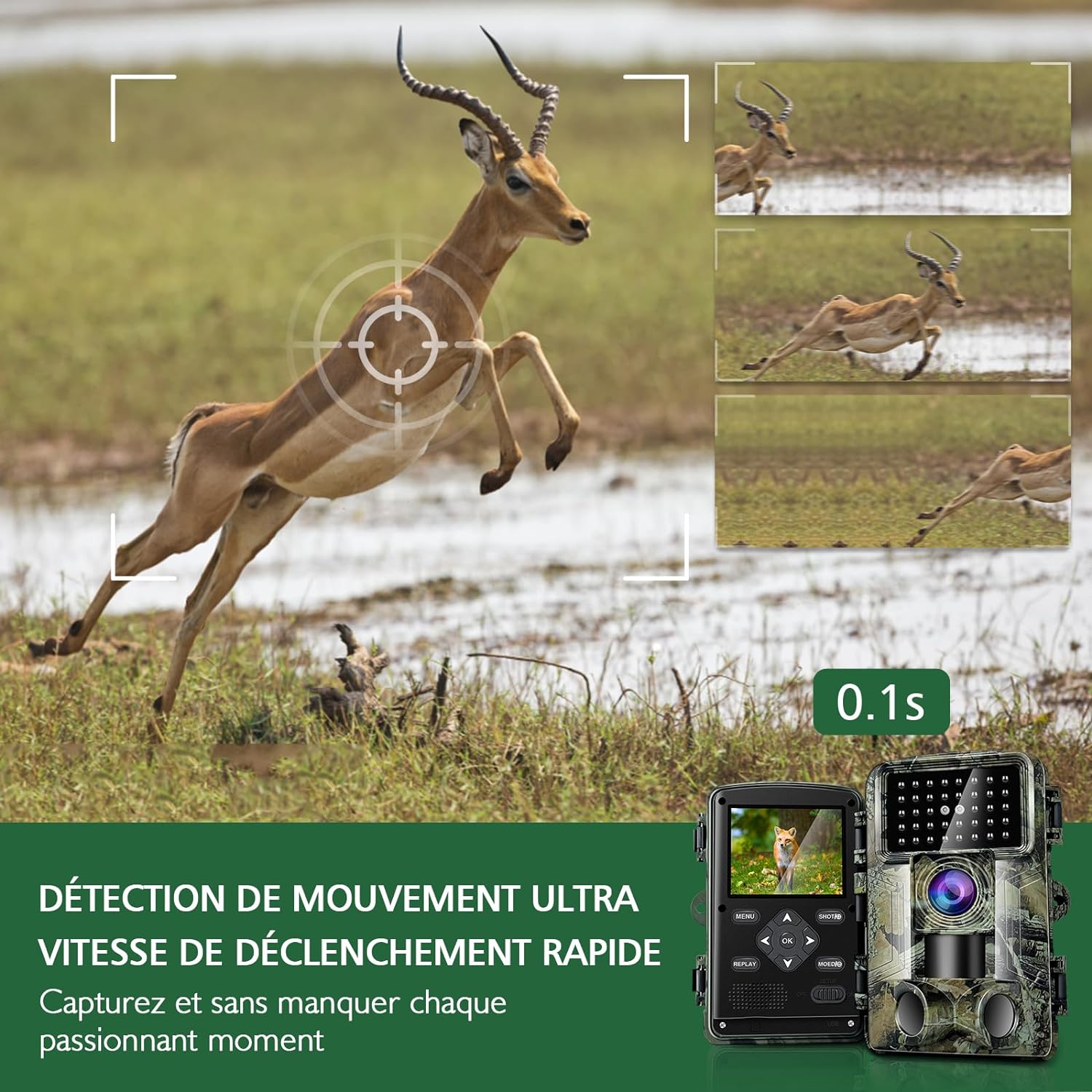 Caméra de surveillance Chasse – Image 4